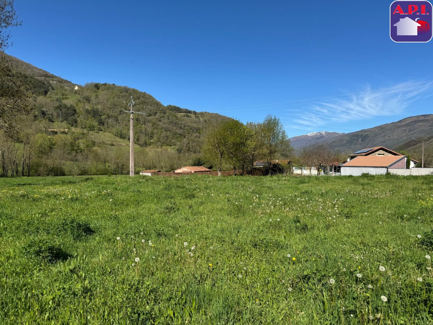 Agence immobilière de ARIEGE PYRENEES IMMOBILIER (API)