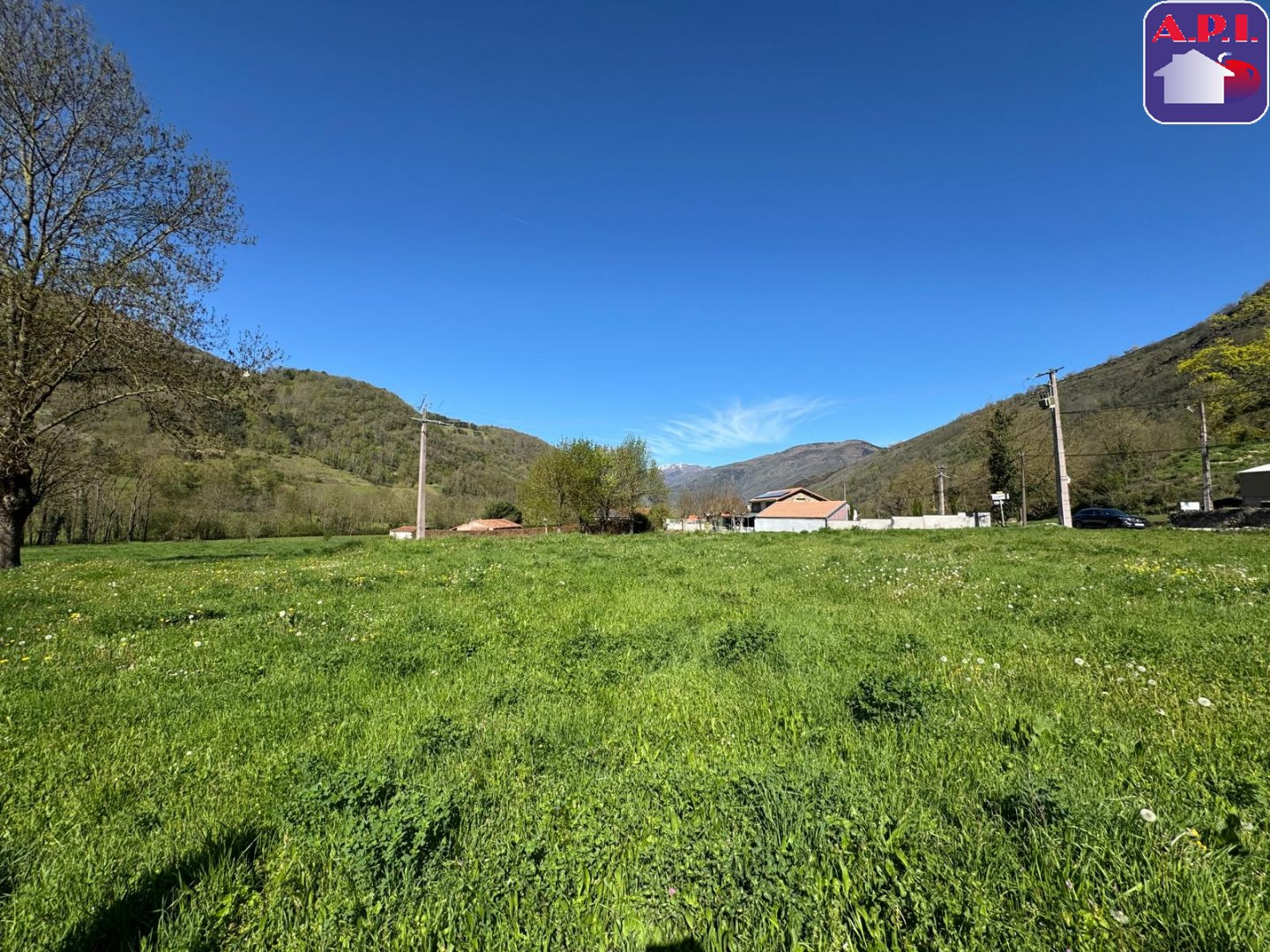 Agence immobilière de ARIEGE PYRENEES IMMOBILIER (API)
