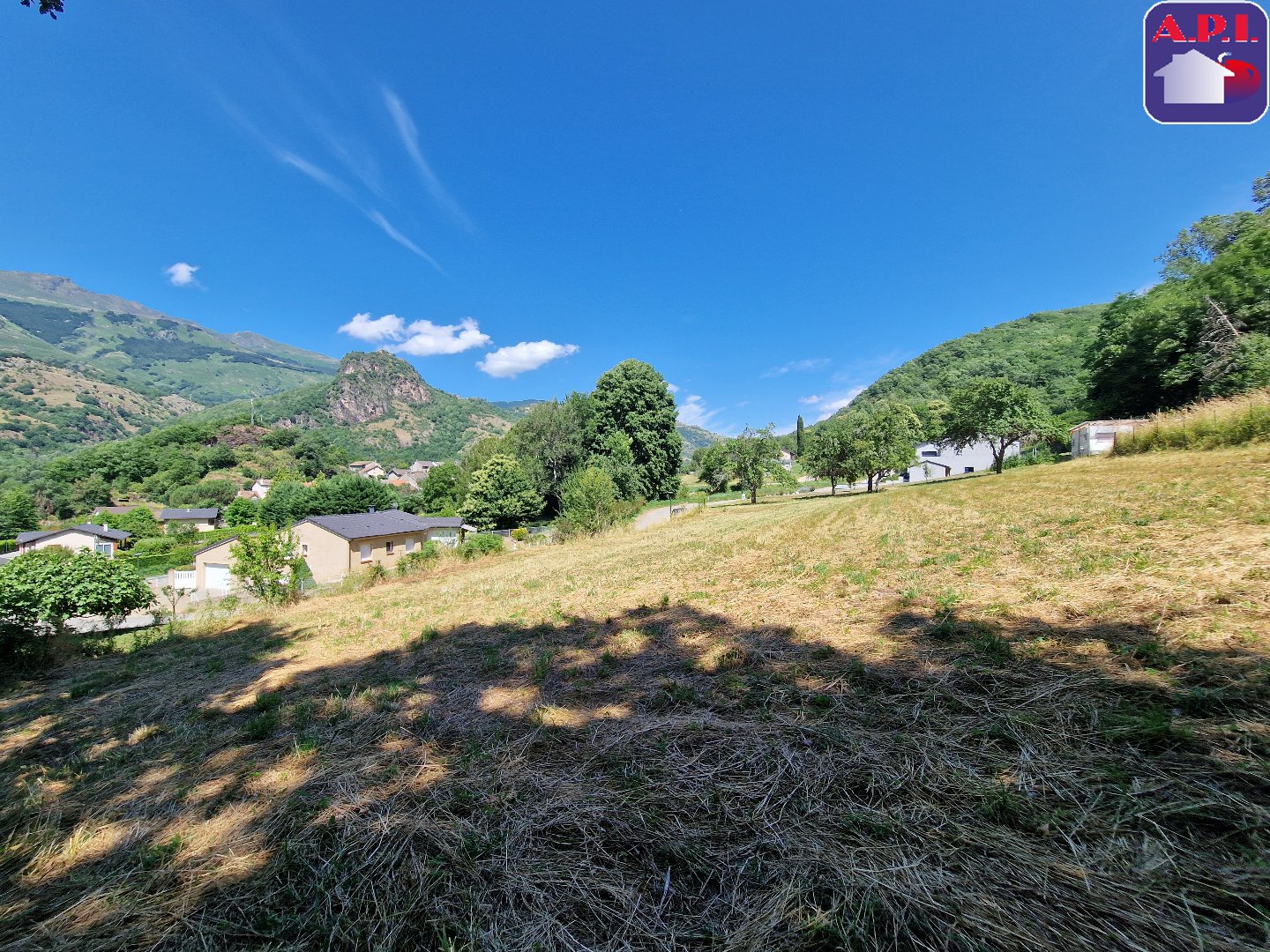 Agence immobilière de ARIEGE PYRENEES IMMOBILIER (API)