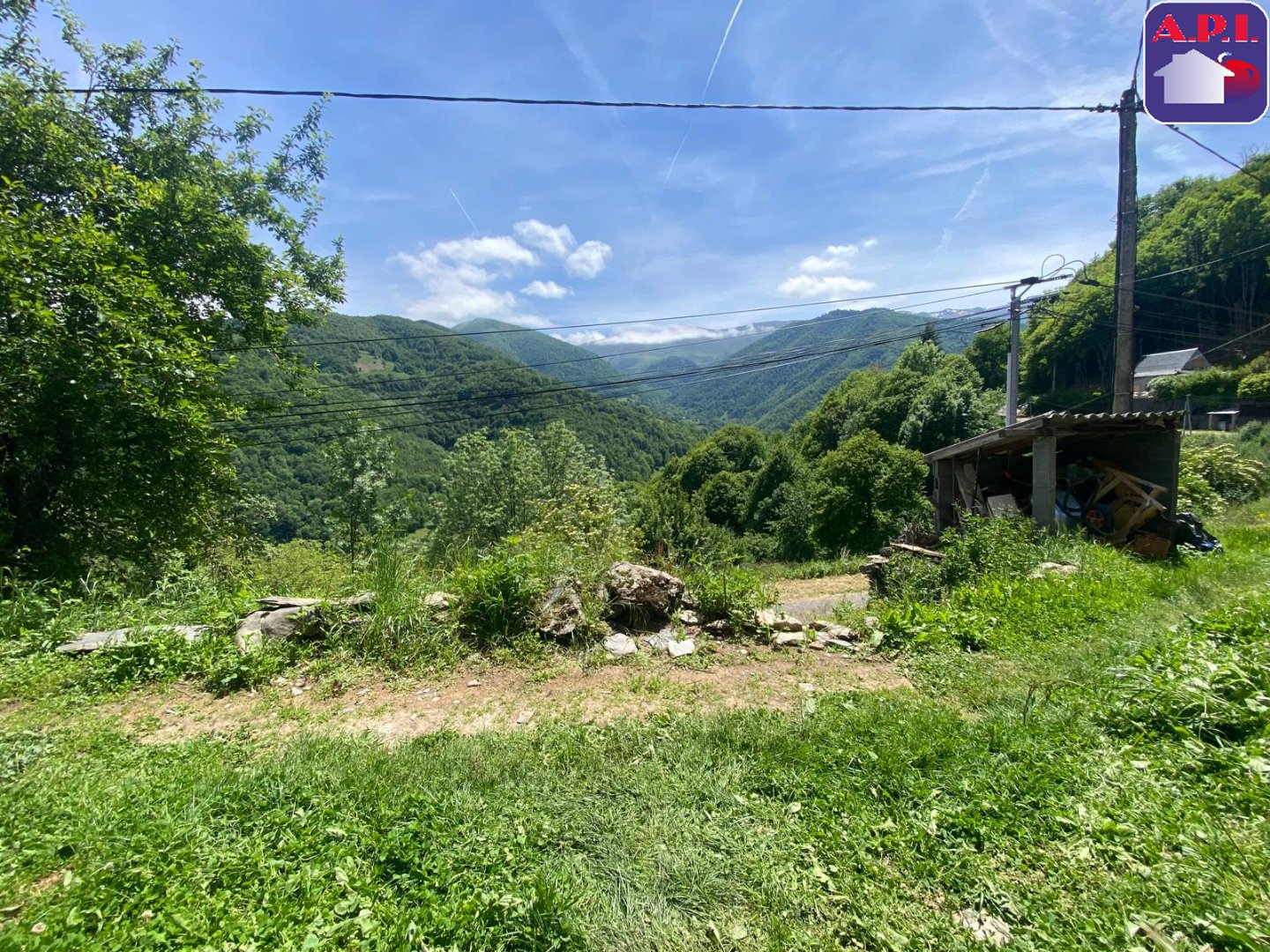 Agence immobilière de ARIEGE PYRENEES IMMOBILIER (API)