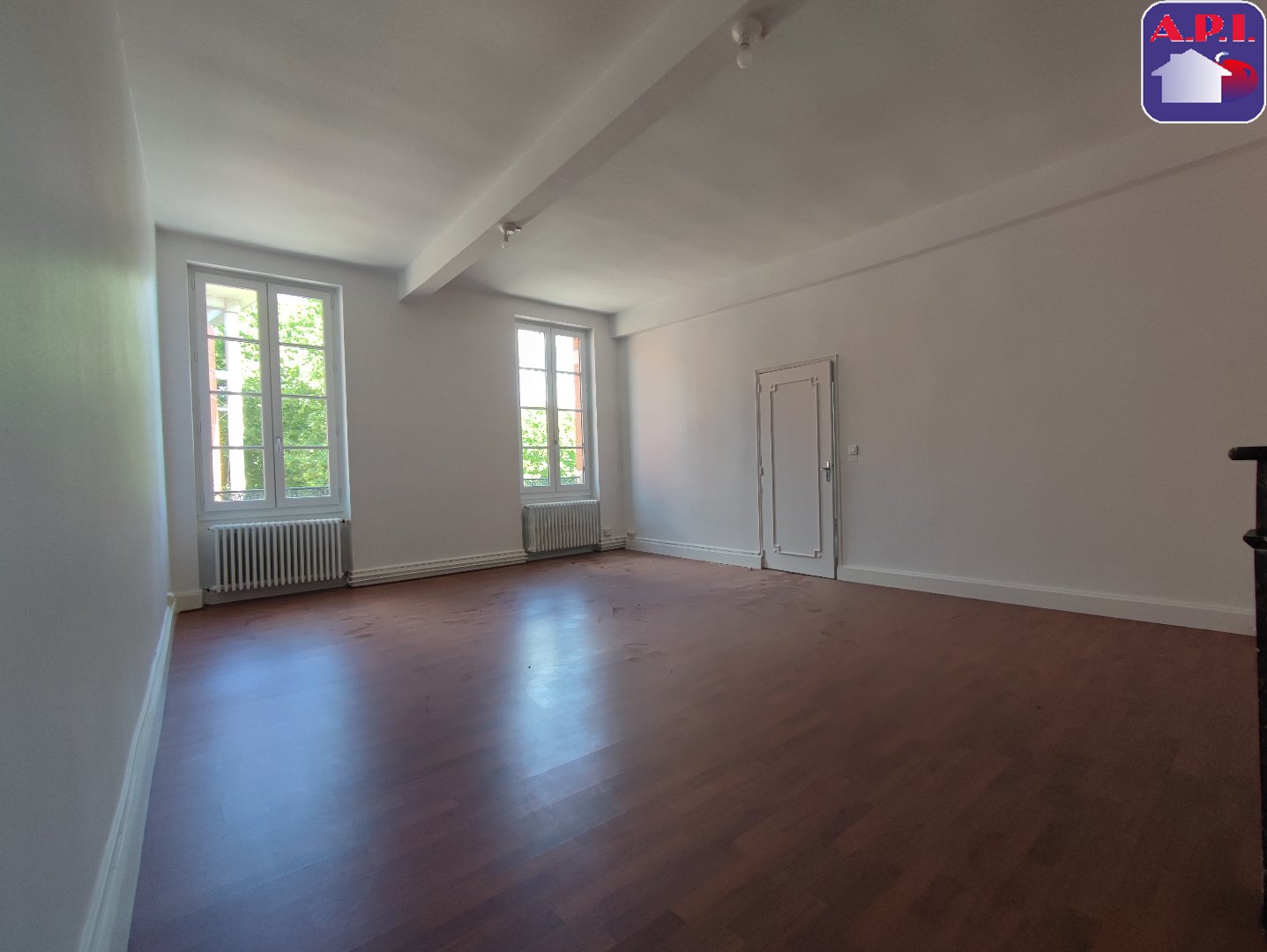 Agence immobilière de ARIEGE PYRENEES IMMOBILIER (API)
