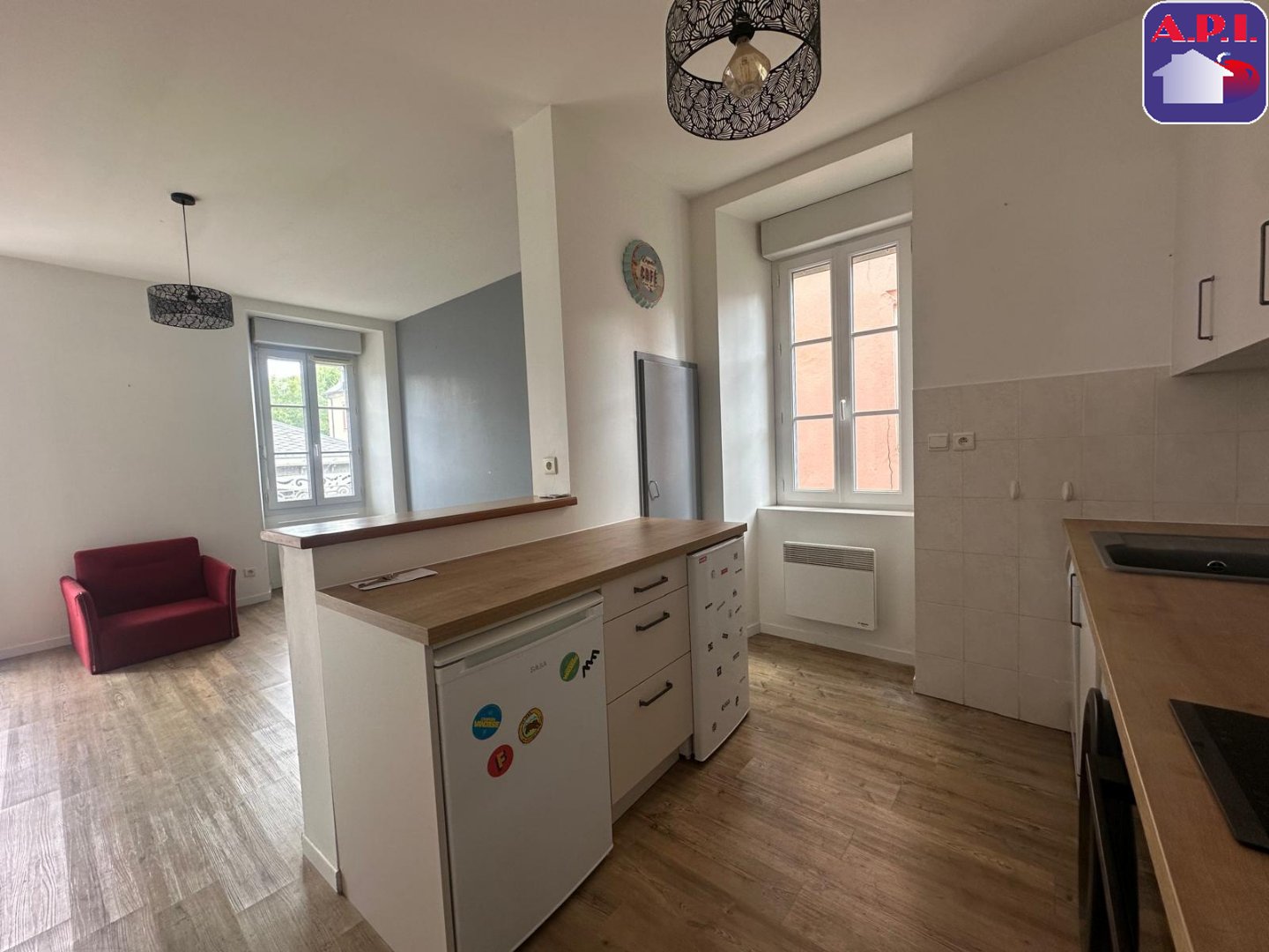 Agence immobilière de ARIEGE PYRENEES IMMOBILIER (API)