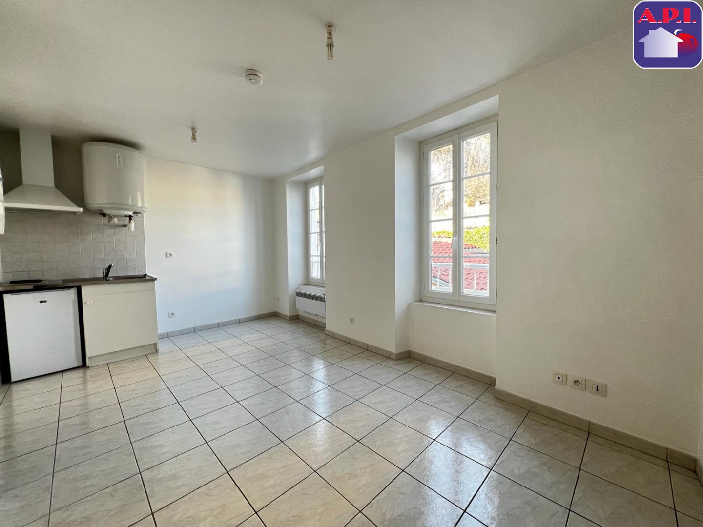 Agence immobilière de ARIEGE PYRENEES IMMOBILIER (API)