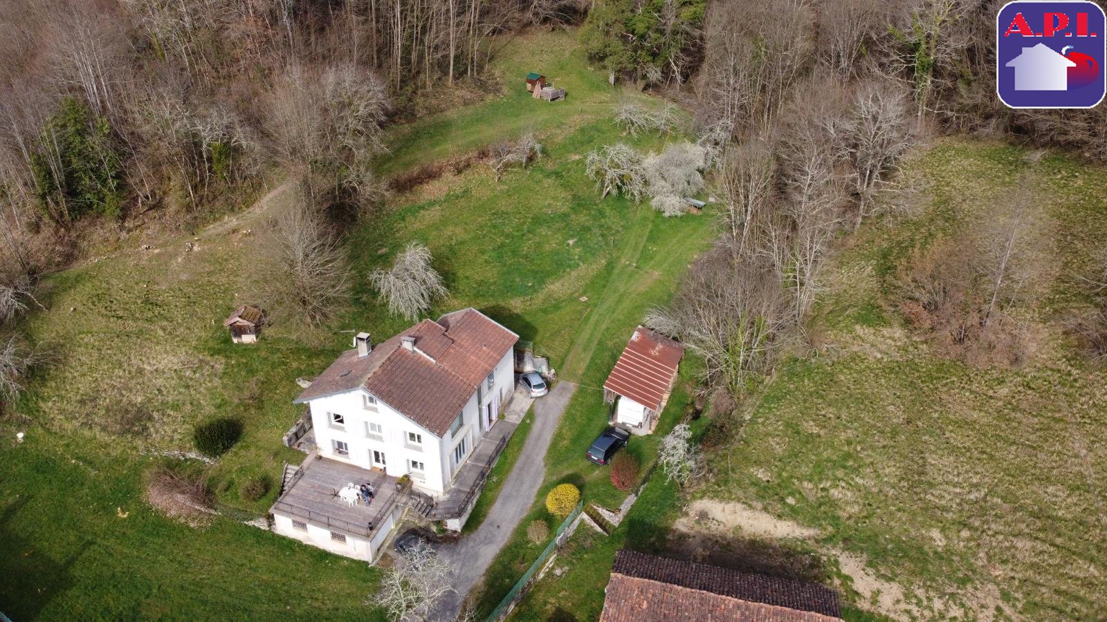 Agence immobilière de ARIEGE PYRENEES IMMOBILIER (API)