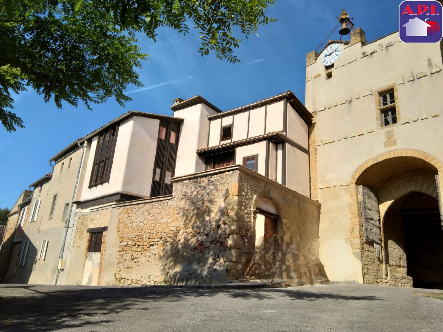 Agence immobilière de ARIEGE PYRENEES IMMOBILIER (API)