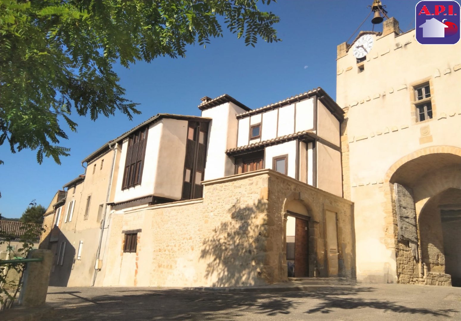 Agence immobilière de ARIEGE PYRENEES IMMOBILIER (API)