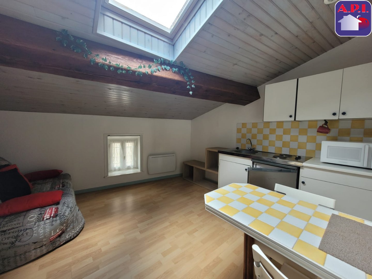 Agence immobilière de ARIEGE PYRENEES IMMOBILIER (API)