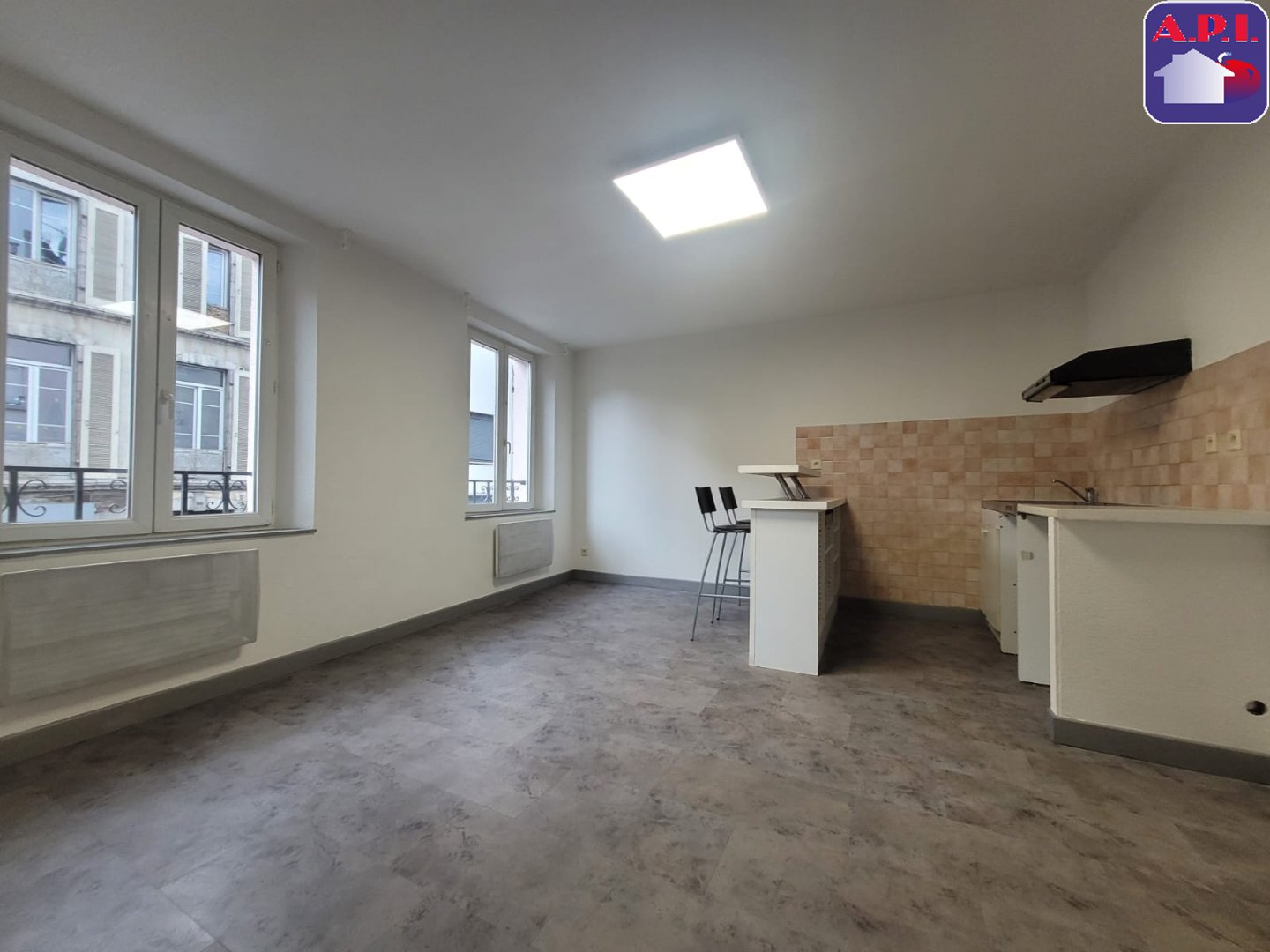 Agence immobilière de ARIEGE PYRENEES IMMOBILIER (API)