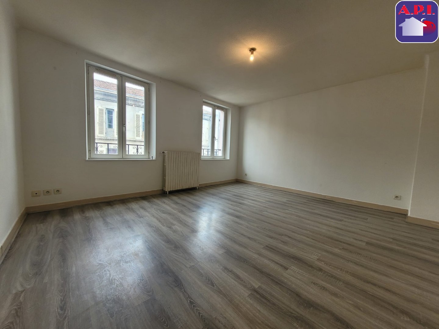 Agence immobilière de ARIEGE PYRENEES IMMOBILIER (API)