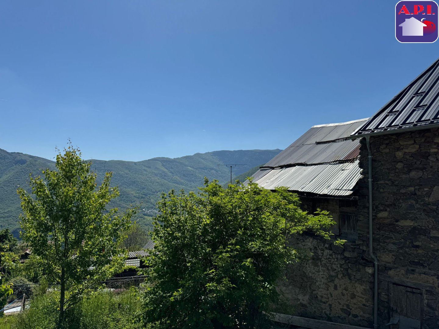 Agence immobilière de ARIEGE PYRENEES IMMOBILIER (API)