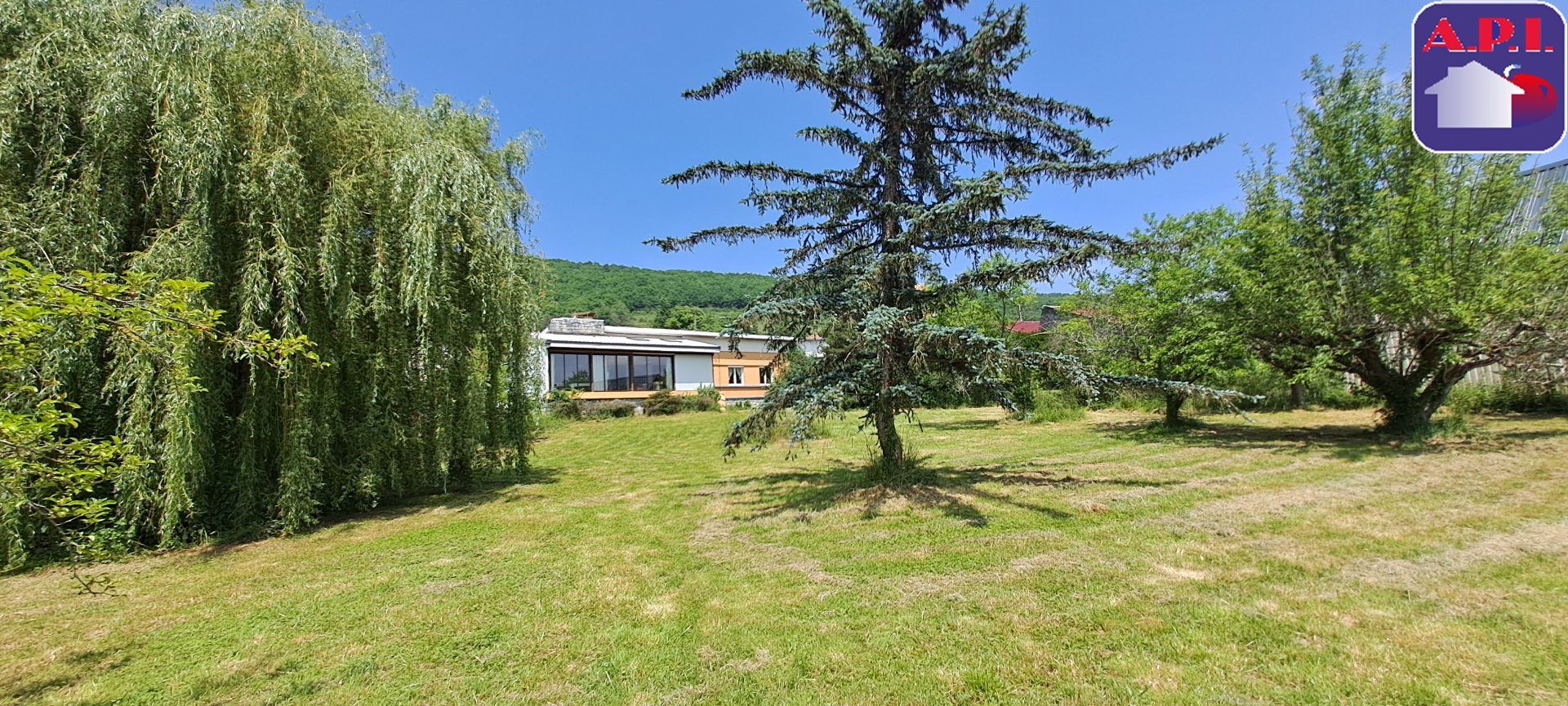 Agence immobilière de ARIEGE PYRENEES IMMOBILIER (API)