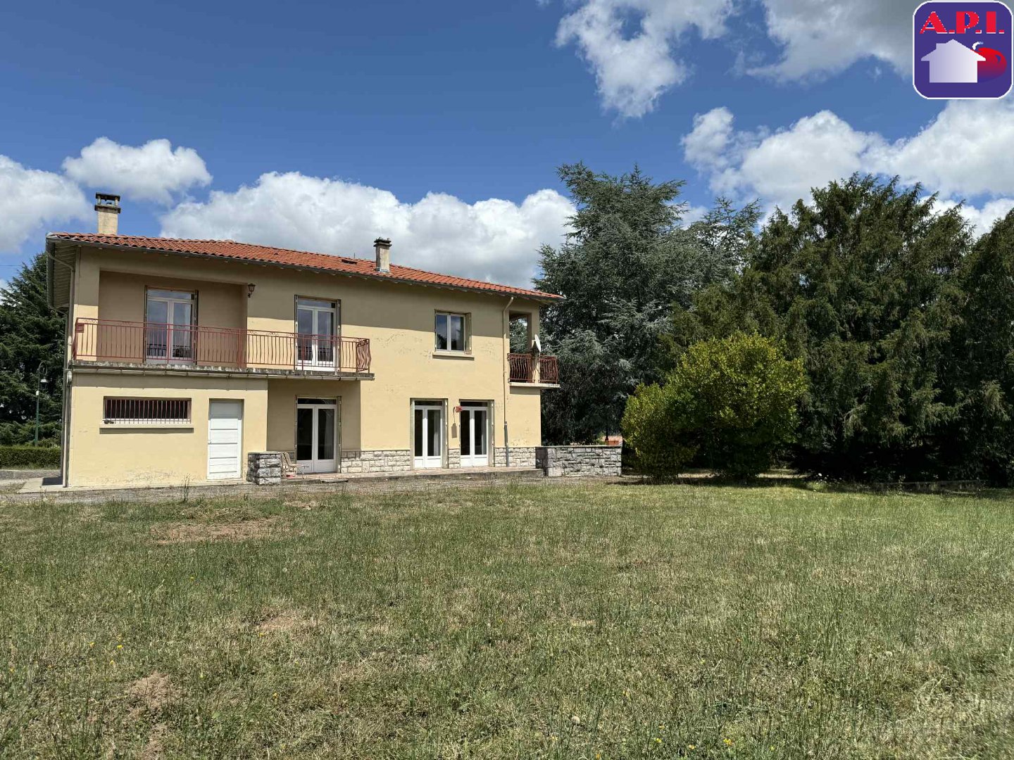 Agence immobilière de ARIEGE PYRENEES IMMOBILIER (API)