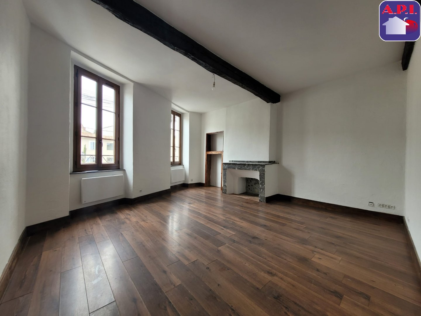 Agence immobilière de ARIEGE PYRENEES IMMOBILIER (API)