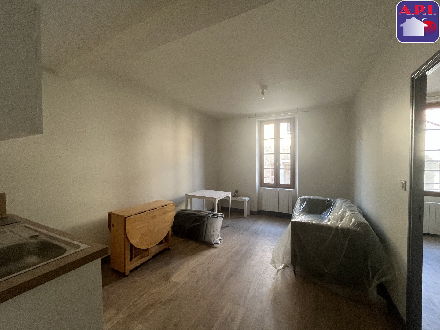 Agence immobilière de ARIEGE PYRENEES IMMOBILIER (API)