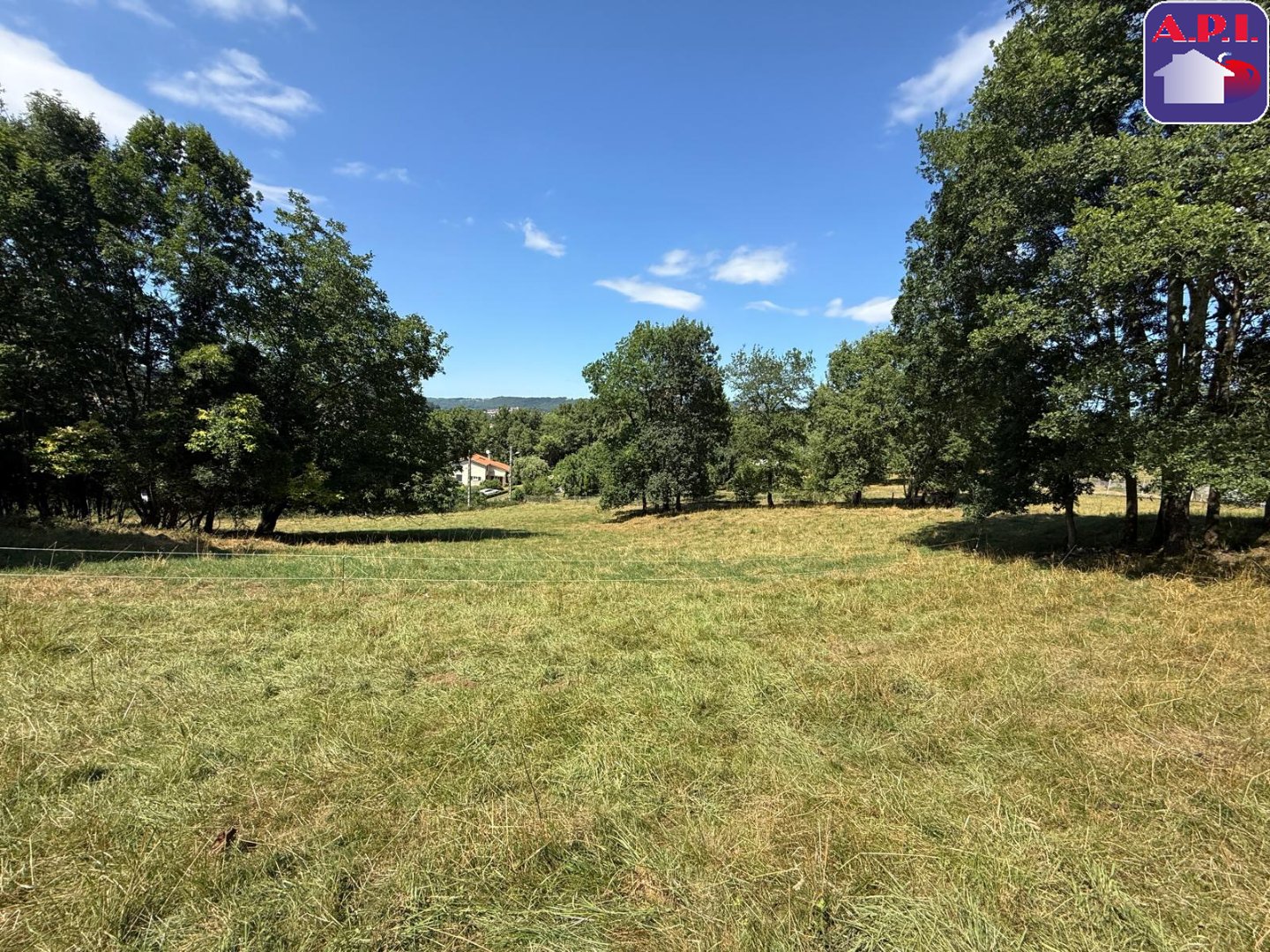 Agence immobilière de ARIEGE PYRENEES IMMOBILIER (API)