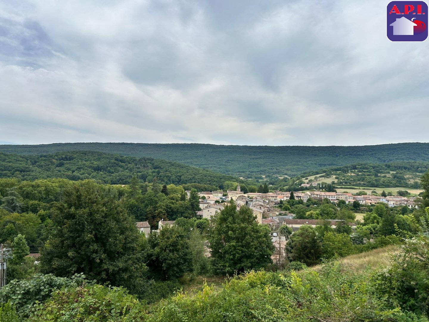 Agence immobilière de ARIEGE PYRENEES IMMOBILIER (API)