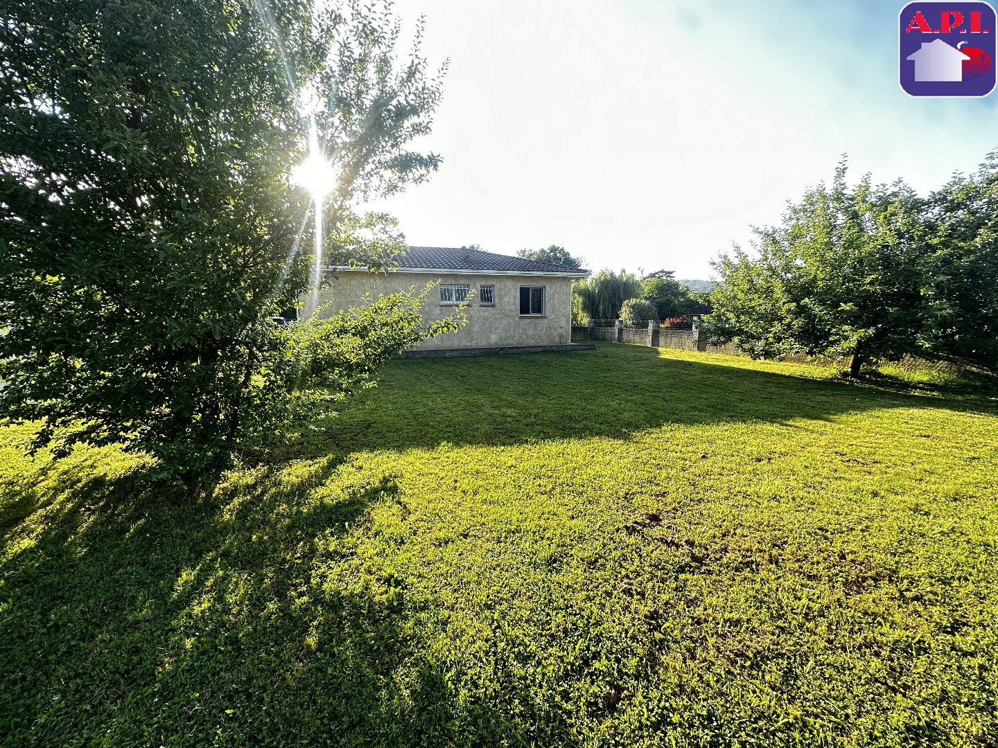 Agence immobilière de ARIEGE PYRENEES IMMOBILIER (API)