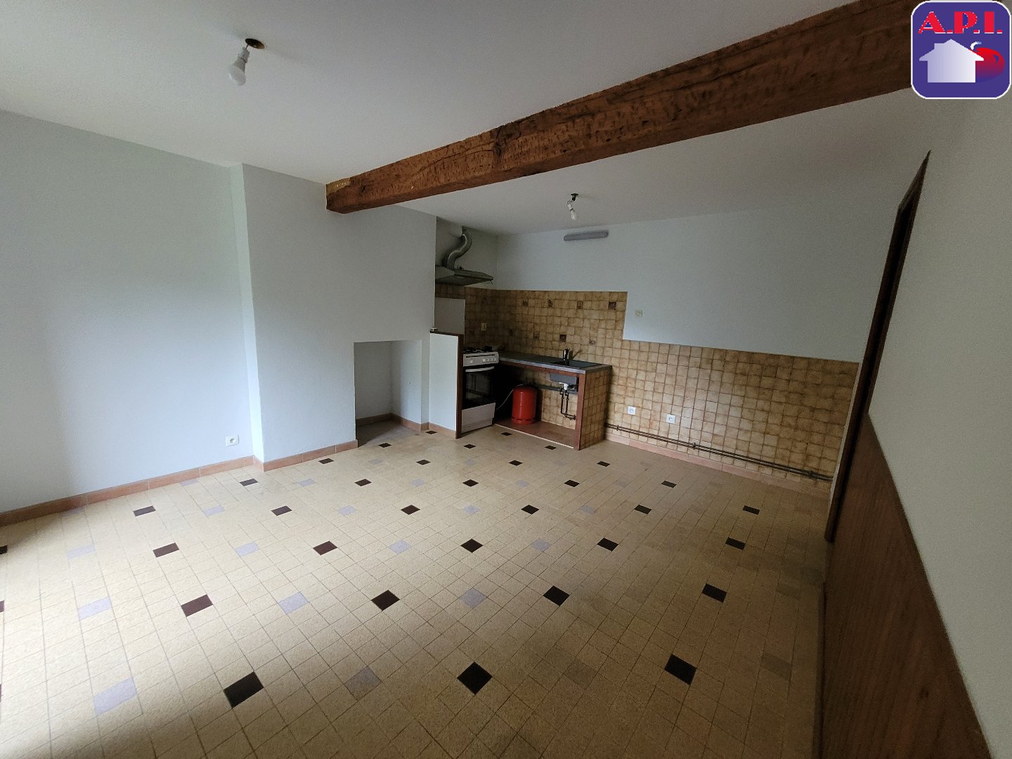 Agence immobilière de ARIEGE PYRENEES IMMOBILIER (API)