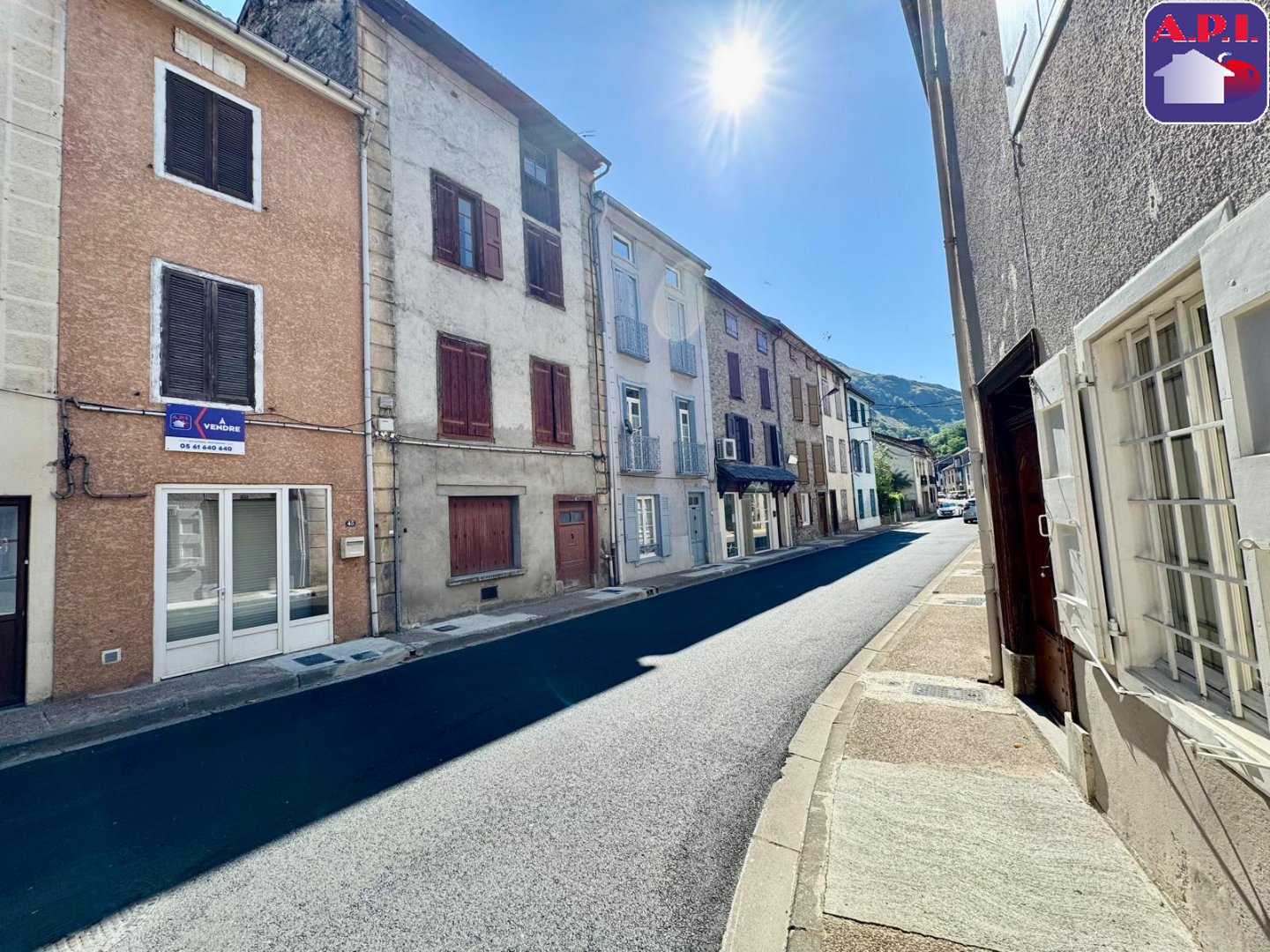 Agence immobilière de ARIEGE PYRENEES IMMOBILIER (API)