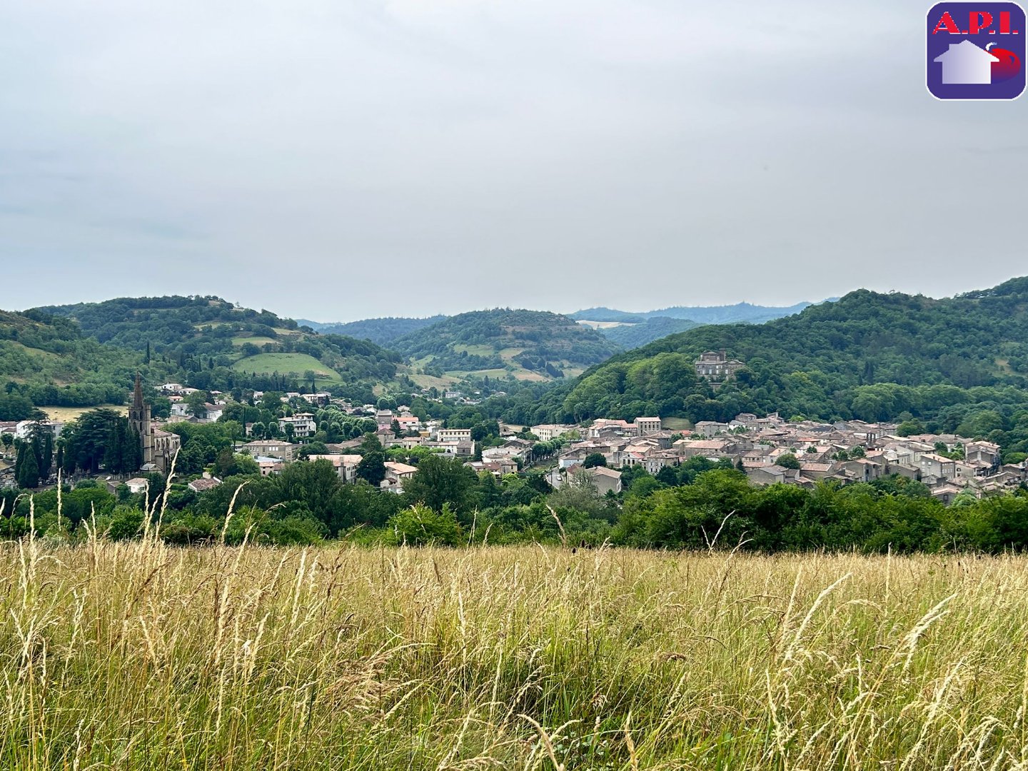 Agence immobilière de ARIEGE PYRENEES IMMOBILIER (API)