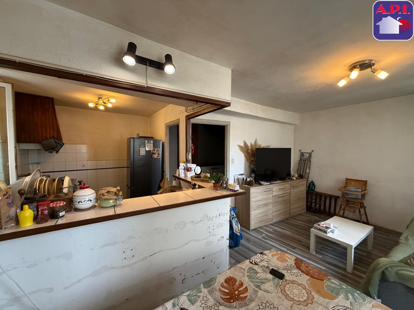 Agence immobilière de ARIEGE PYRENEES IMMOBILIER (API)