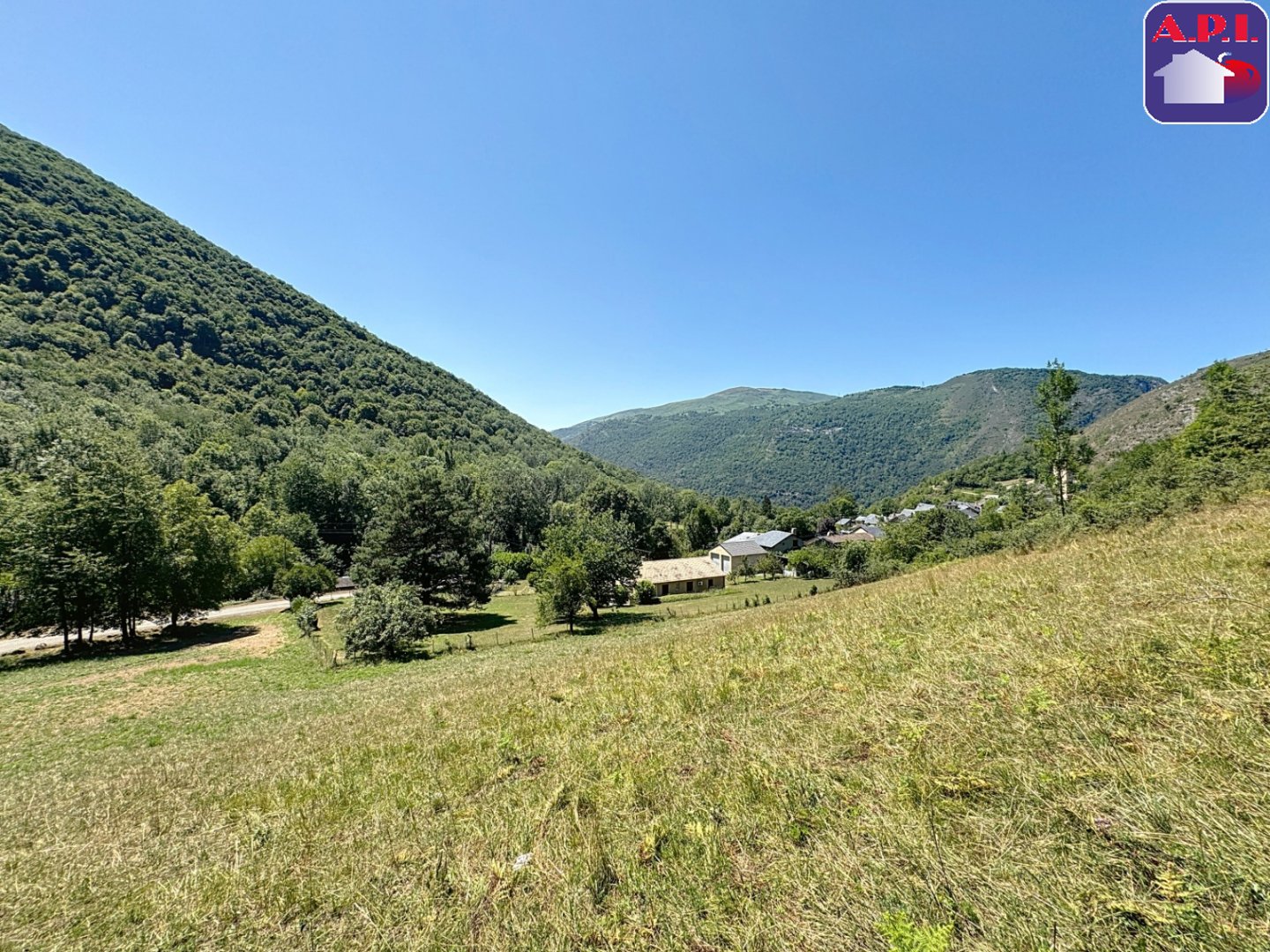 Agence immobilière de ARIEGE PYRENEES IMMOBILIER (API)