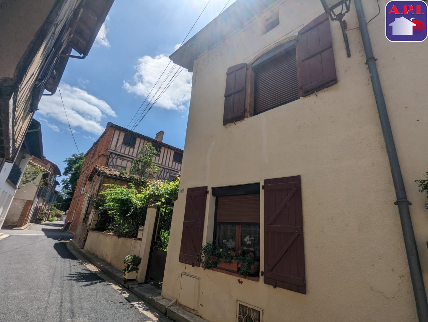 Agence immobilière de ARIEGE PYRENEES IMMOBILIER (API)