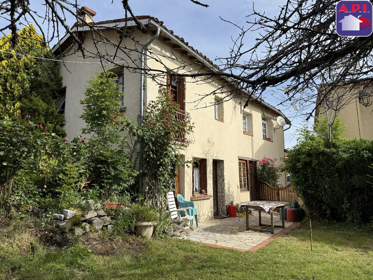 Agence immobilière de ARIEGE PYRENEES IMMOBILIER (API)