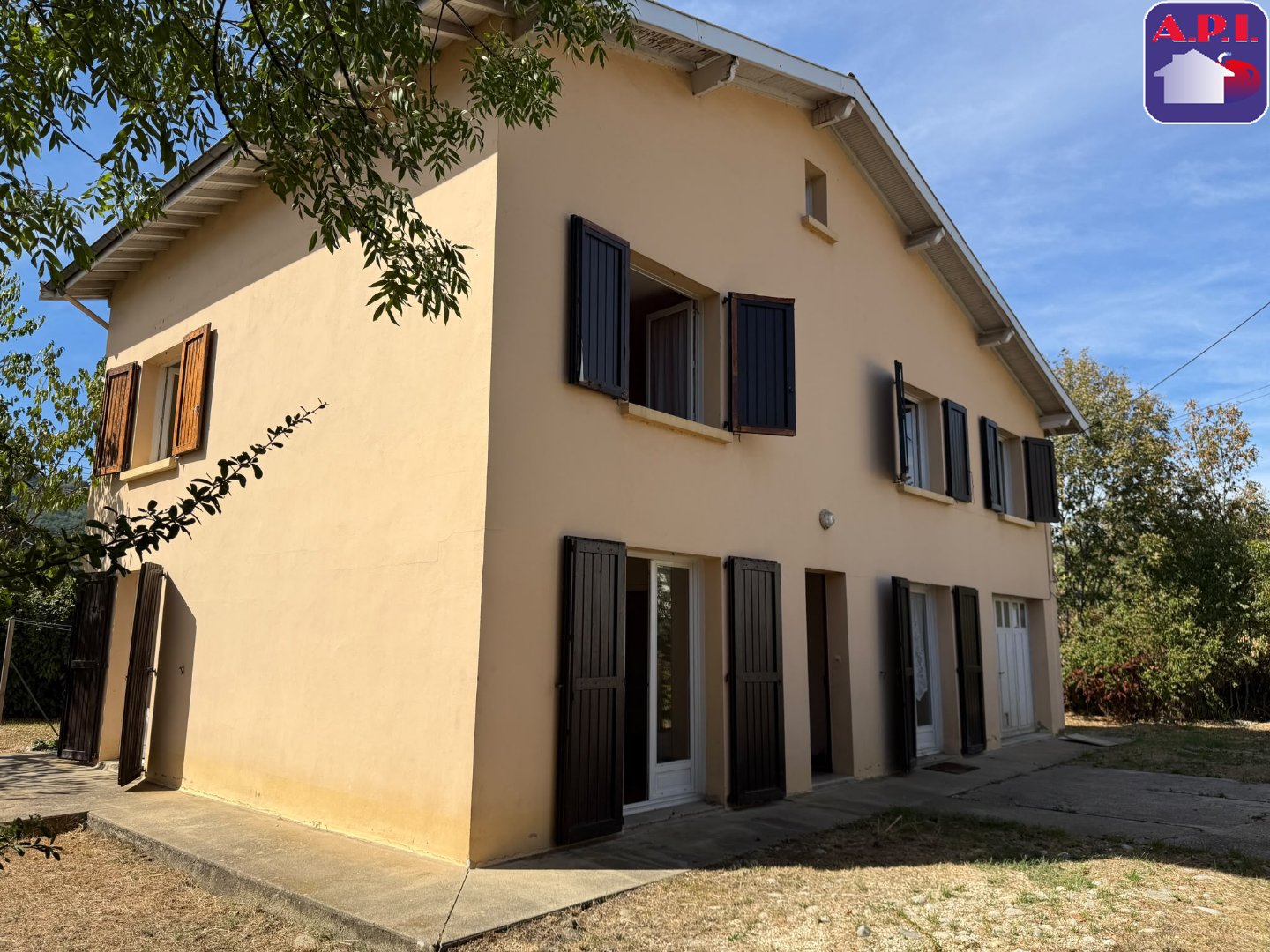 Agence immobilière de ARIEGE PYRENEES IMMOBILIER (API)