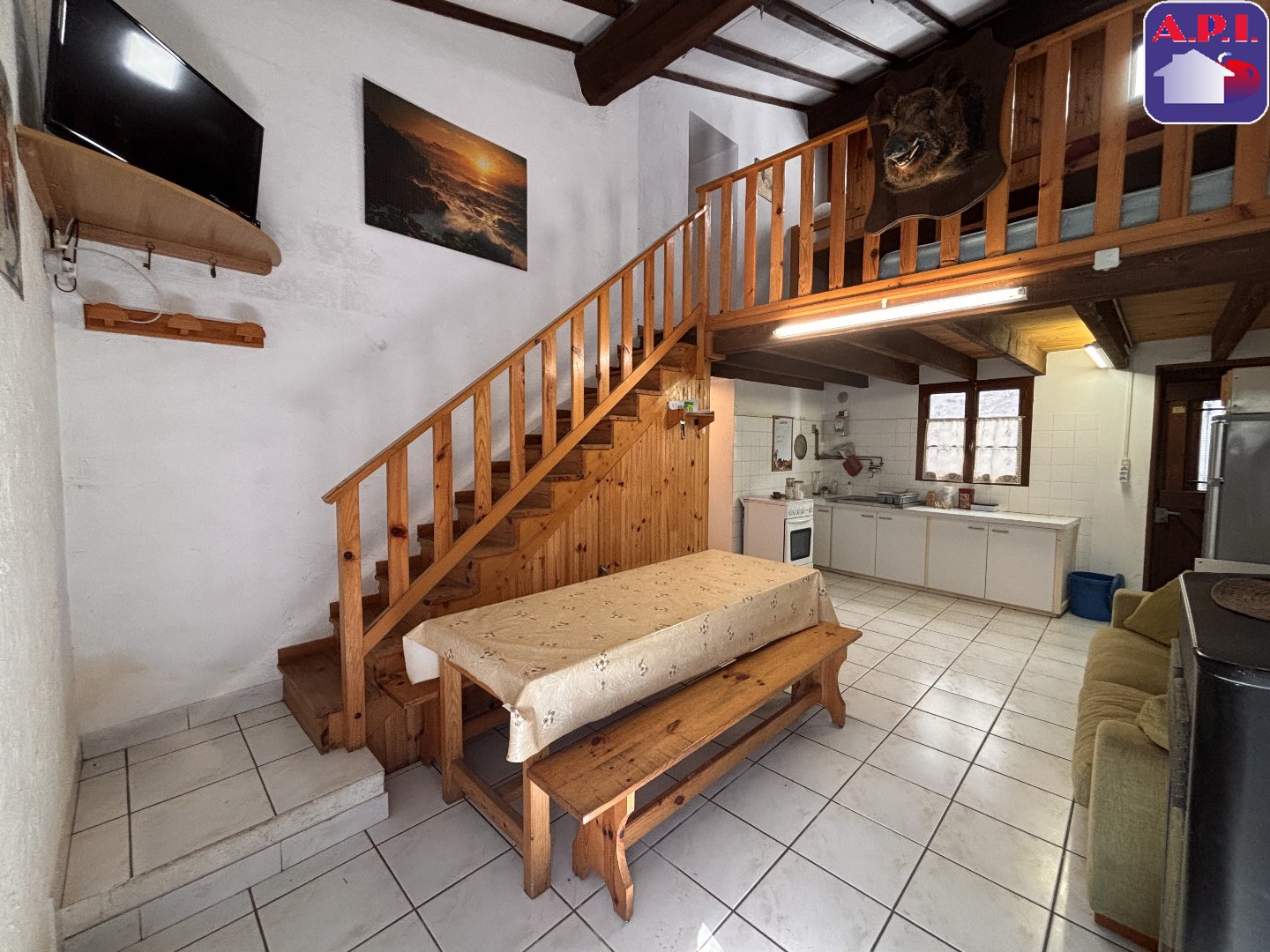 Agence immobilière de ARIEGE PYRENEES IMMOBILIER (API)