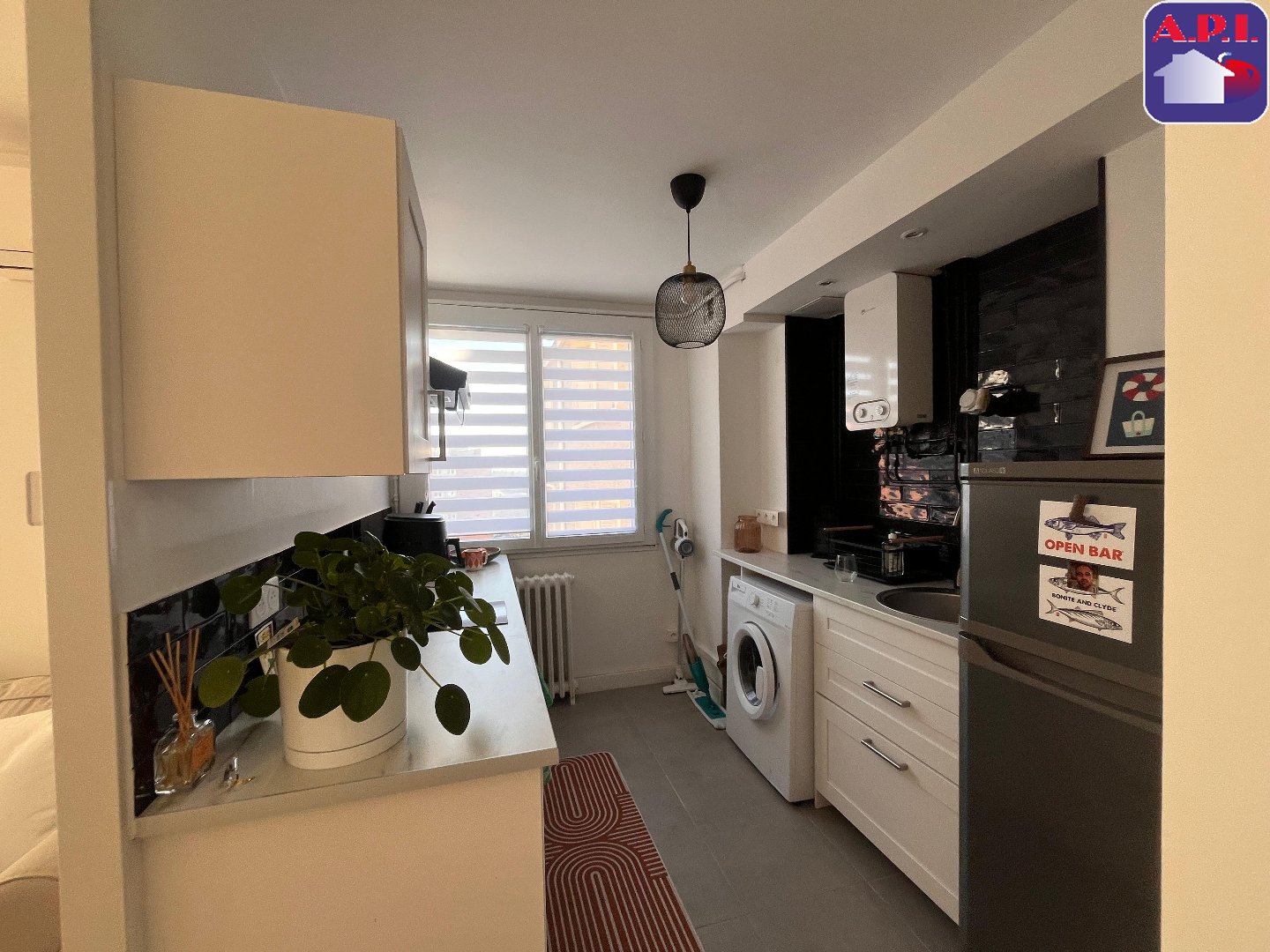 Agence immobilière de ARIEGE PYRENEES IMMOBILIER (API)