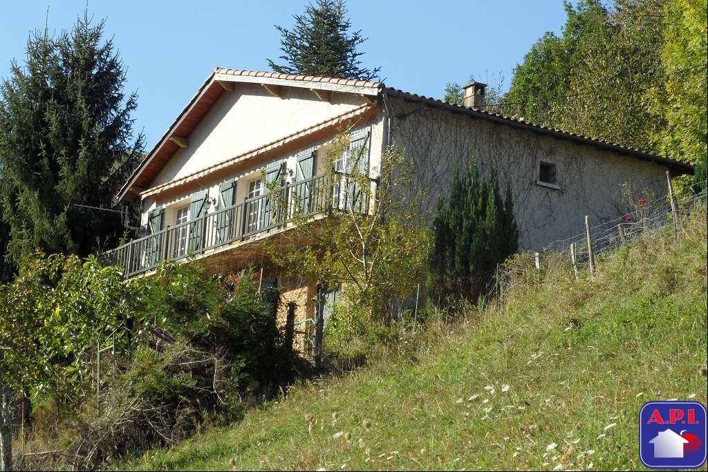 Agence immobilière de ARIEGE PYRENEES IMMOBILIER (API)