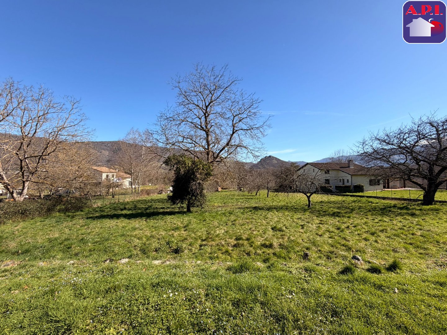 Agence immobilière de ARIEGE PYRENEES IMMOBILIER (API)