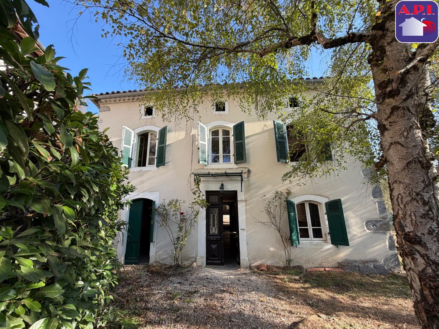 Agence immobilière de ARIEGE PYRENEES IMMOBILIER (API)