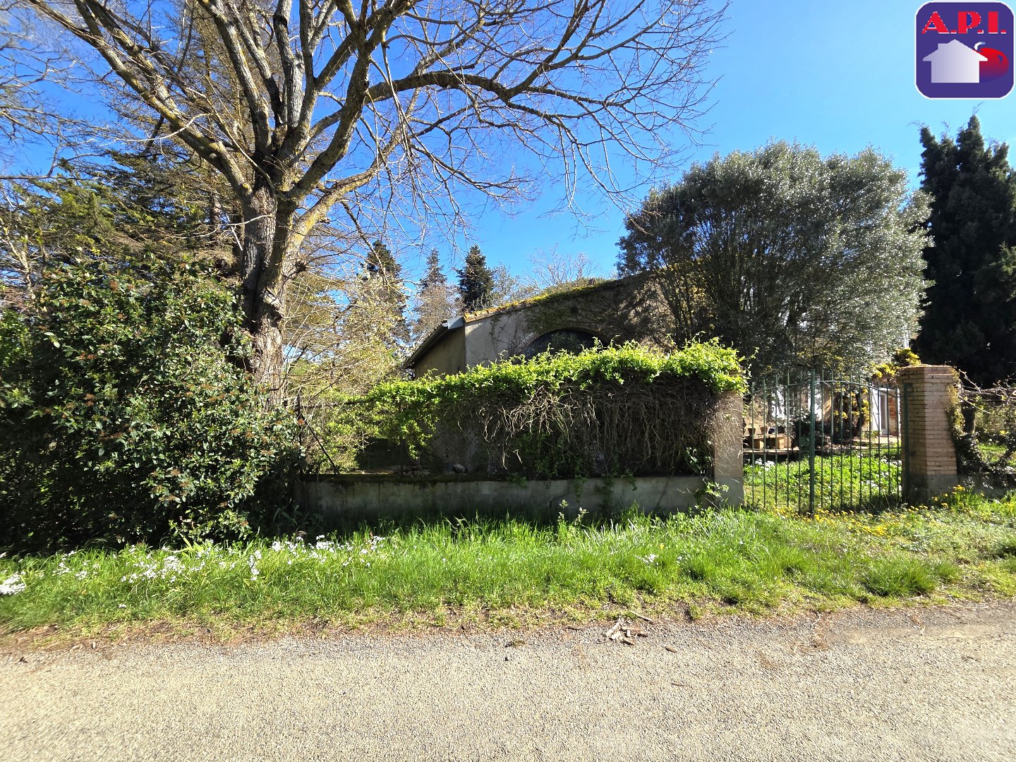 Agence immobilière de ARIEGE PYRENEES IMMOBILIER (API)