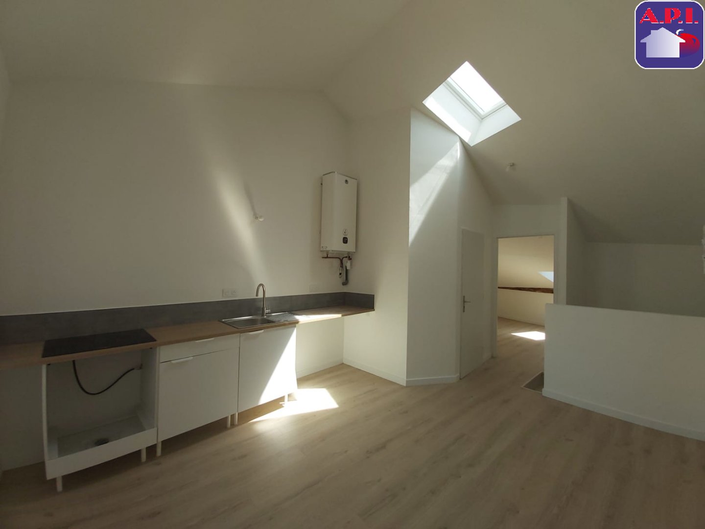 Agence immobilière de ARIEGE PYRENEES IMMOBILIER (API)