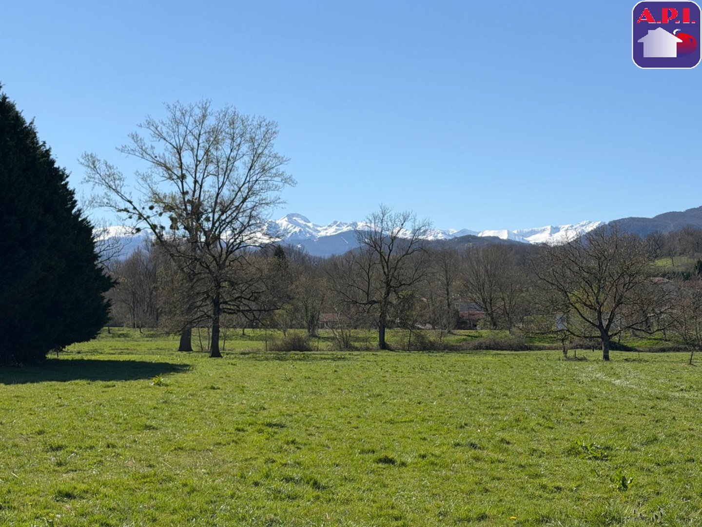 Agence immobilière de ARIEGE PYRENEES IMMOBILIER (API)