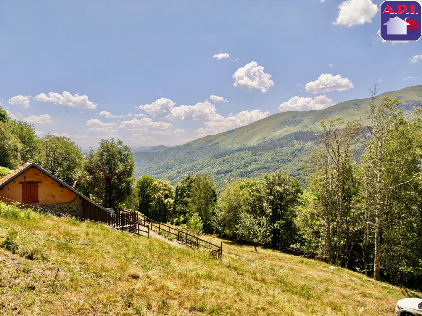 Agence immobilière de ARIEGE PYRENEES IMMOBILIER (API)