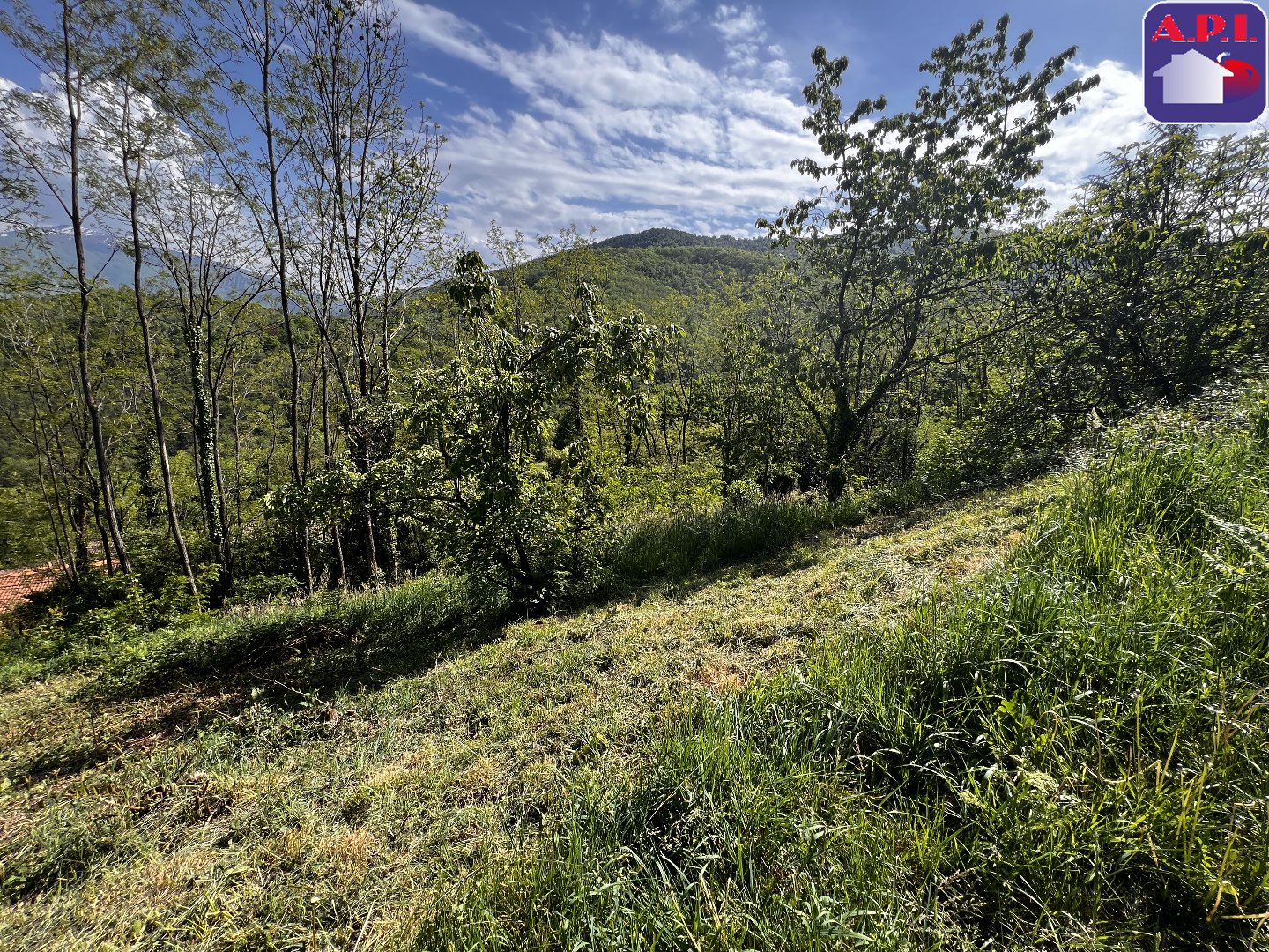 Agence immobilière de ARIEGE PYRENEES IMMOBILIER (API)
