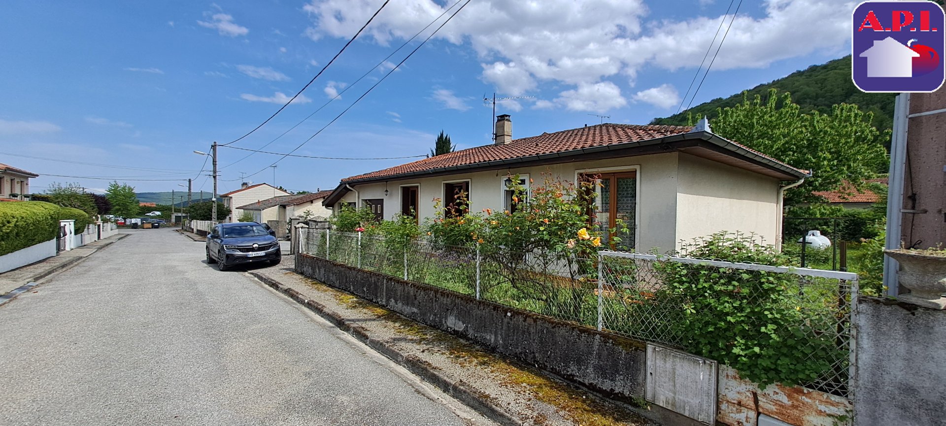 Agence immobilière de ARIEGE PYRENEES IMMOBILIER (API)