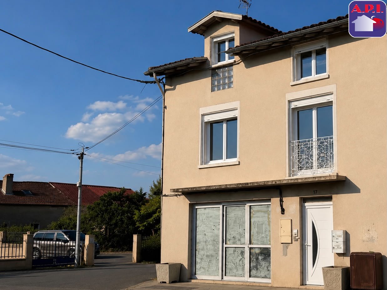 Agence immobilière de ARIEGE PYRENEES IMMOBILIER (API)