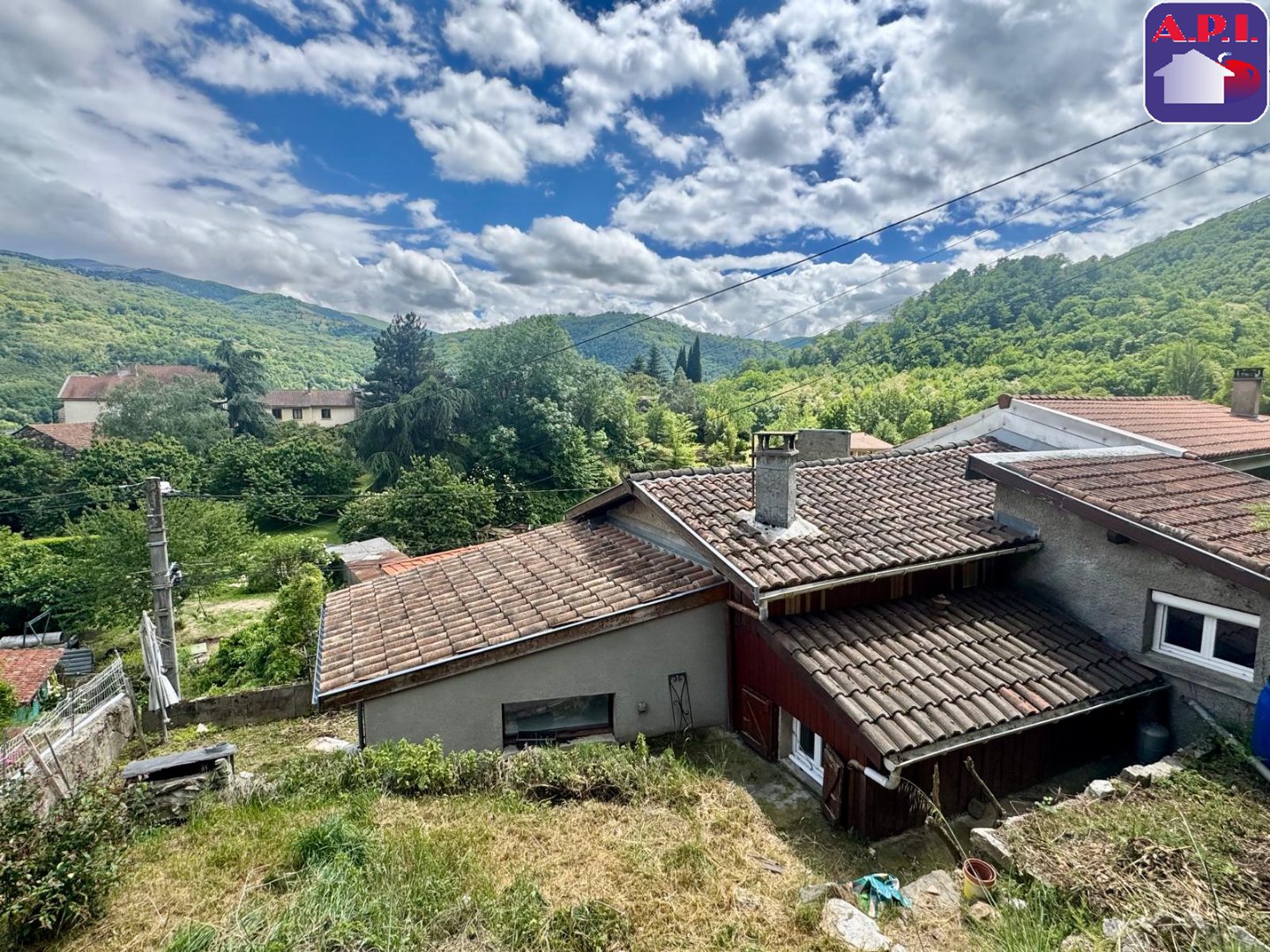 Agence immobilière de ARIEGE PYRENEES IMMOBILIER (API)