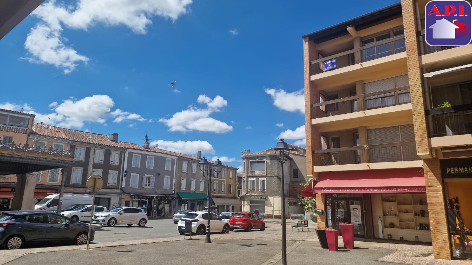 Agence immobilière de ARIEGE PYRENEES IMMOBILIER (API)