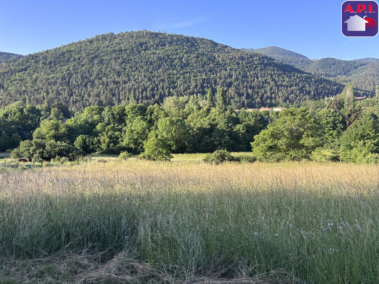Agence immobilière de ARIEGE PYRENEES IMMOBILIER (API)
