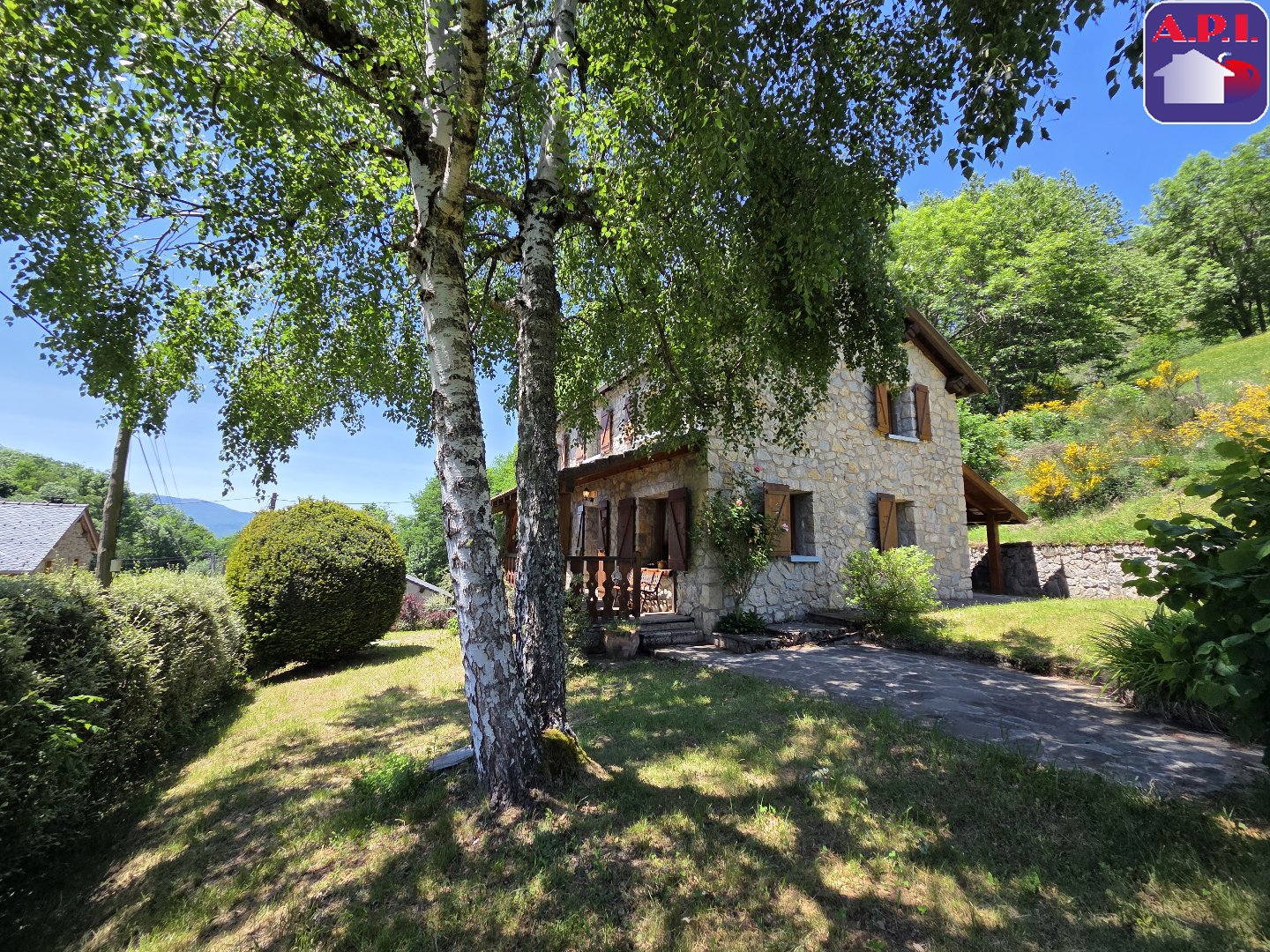 Agence immobilière de ARIEGE PYRENEES IMMOBILIER (API)
