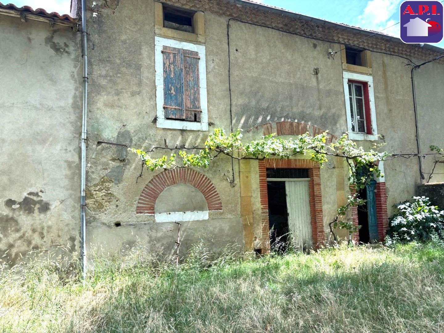 Agence immobilière de ARIEGE PYRENEES IMMOBILIER (API)