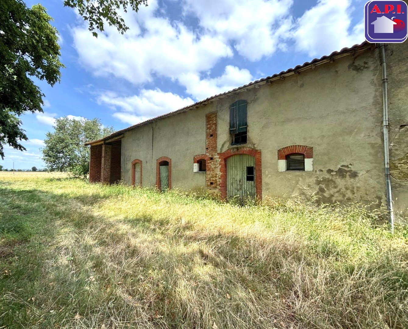 Agence immobilière de ARIEGE PYRENEES IMMOBILIER (API)