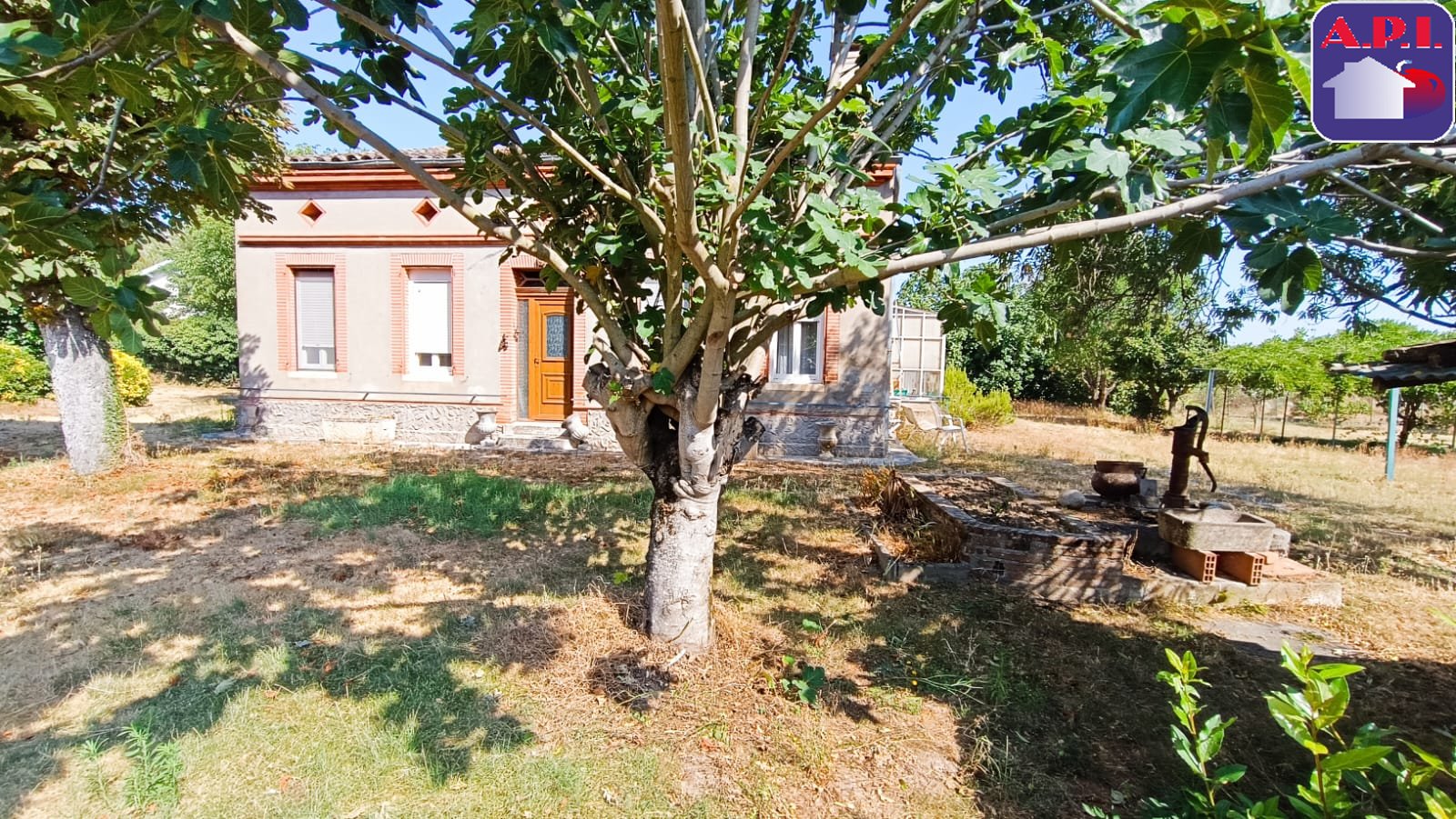 Agence immobilière de ARIEGE PYRENEES IMMOBILIER (API)