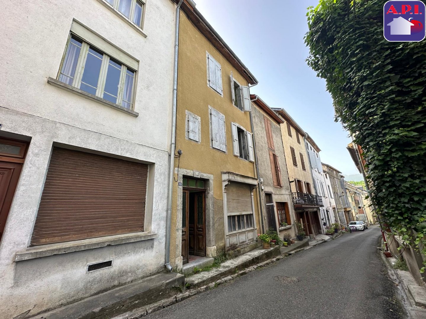 Agence immobilière de ARIEGE PYRENEES IMMOBILIER (API)