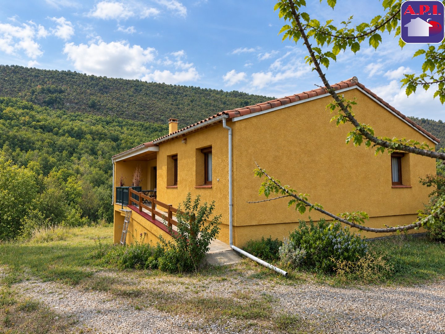 Agence immobilière de ARIEGE PYRENEES IMMOBILIER (API)
